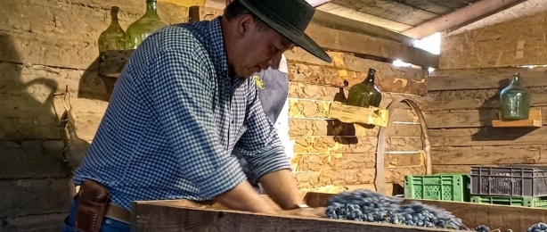 Emprendimiento y Asociatividad